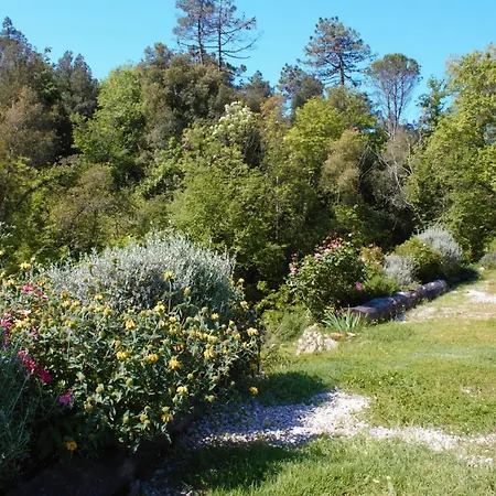 Mulino Della Rivolta * Montenero (Livorno)