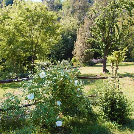 Mulino Della Rivolta Alojamento de Turismo Rural Montenero (Livorno)