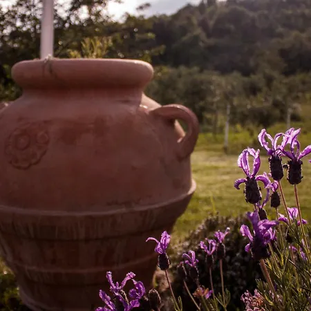 Mulino Della Rivolta * Montenero (Livorno)
