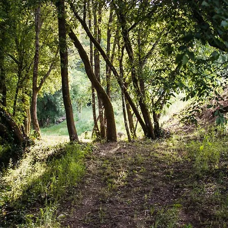 Alojamento de Turismo Rural Mulino Della Rivolta *