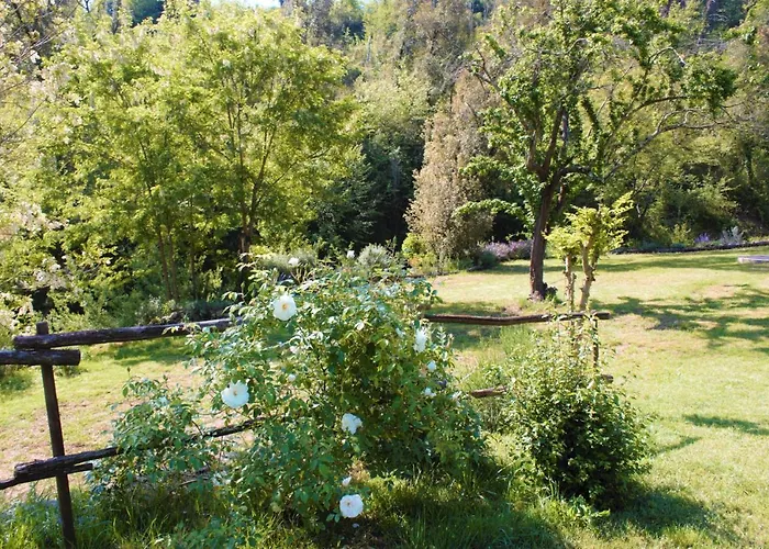 Mulino Della Rivolta Gospodarstwo agroturystyczne Montenero (Livorno)