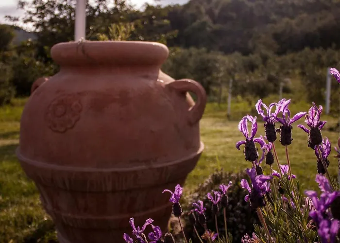 Mulino Della Rivolta * Montenero (Livorno)