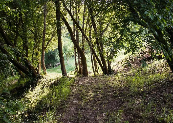 Gospodarstwo agroturystyczne Mulino Della Rivolta *